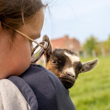 Logements Insolites A La Ferme - Yourte, Kota Ou Pod Farbus Exteriör bild