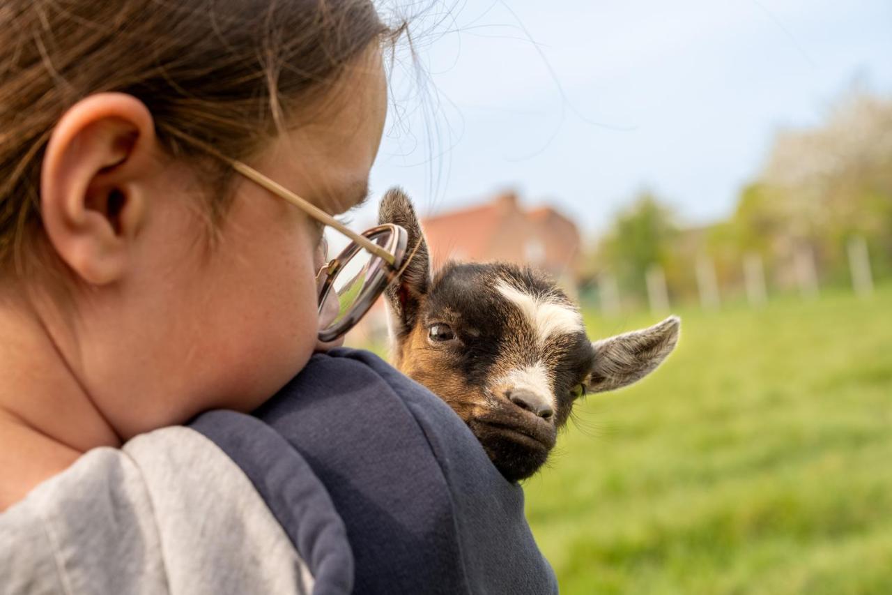Logements Insolites A La Ferme - Yourte, Kota Ou Pod Farbus Exteriör bild