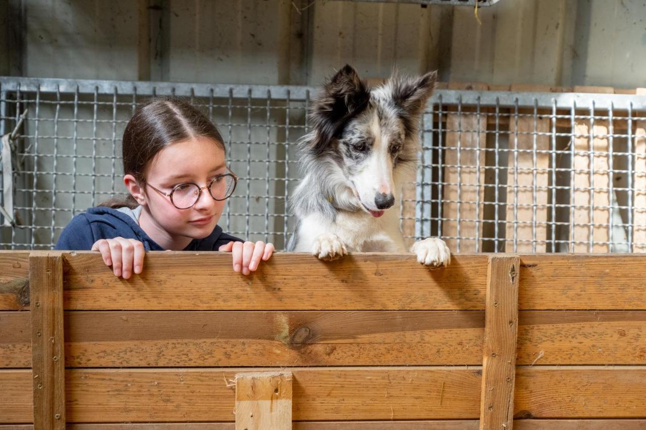 Logements Insolites A La Ferme - Yourte, Kota Ou Pod Farbus Exteriör bild